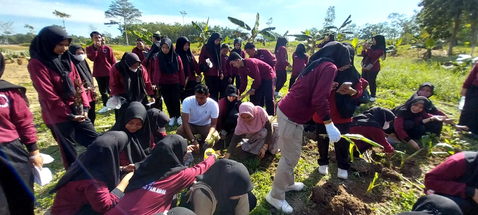 IDC  Bersama Dengan Mahasiswa Prodi S1 Keperawatan UP Melakukan Penanaman Tanaman Obat Tradisional